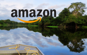 Read more about the article Amazon